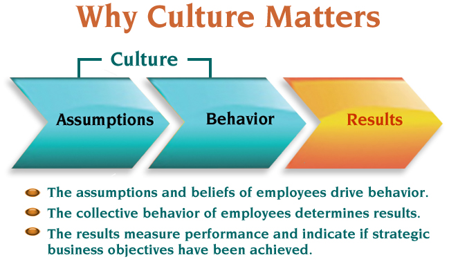 The Goals Of The Organizational Culture